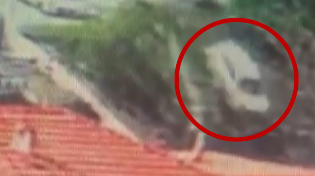 Sarıyer'de uçuruma yuvarlanan otomobil kameraya yansıdı
